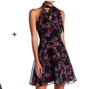 Betsey Johnson black butterfly chiffon dress
